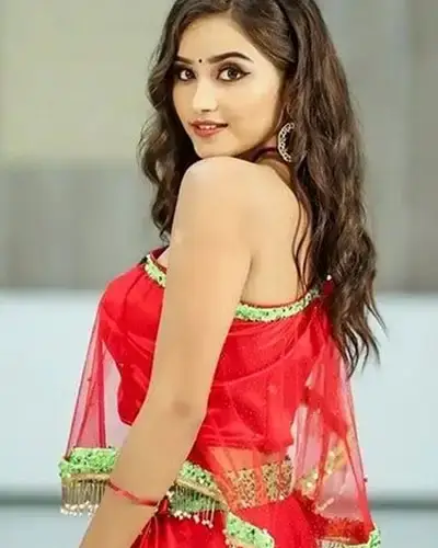 Call Girls Service Udaipura